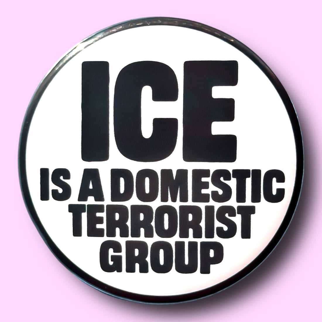 ICE Is a Domestic Terrorist Group (Button or Magnet!)