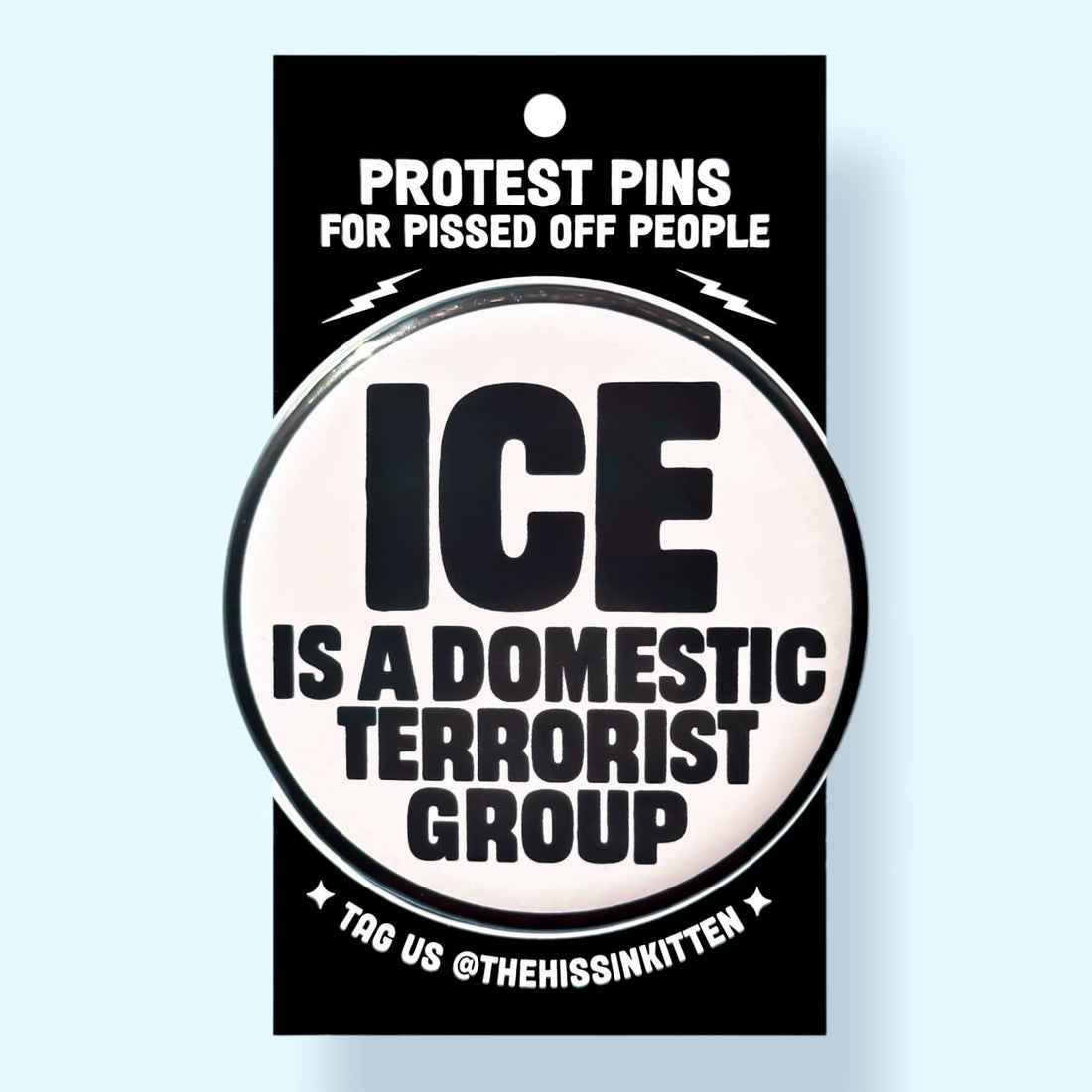ICE Is a Domestic Terrorist Group (Button or Magnet!)