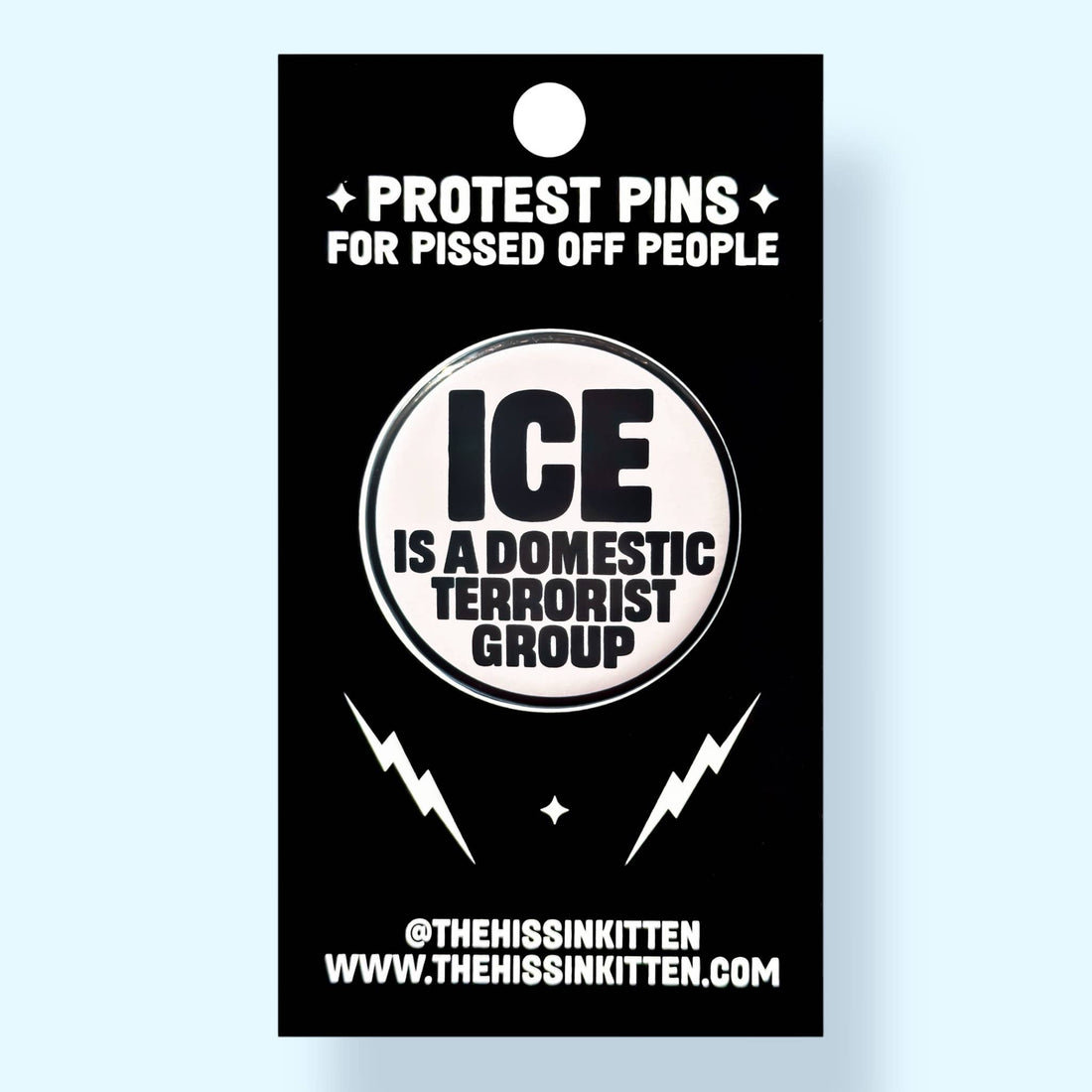 ICE Is a Domestic Terrorist Group (Button or Magnet!)